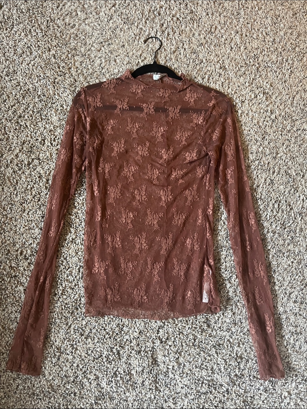 Free People Mauve Rose Sheer Floral Lace Long Sleeve Top